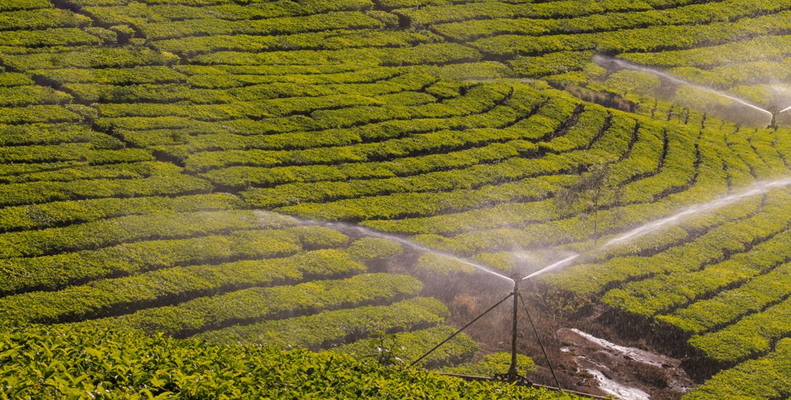 Sustainable Irrigation: How India Is Adopting Water-Smart Farming Practices