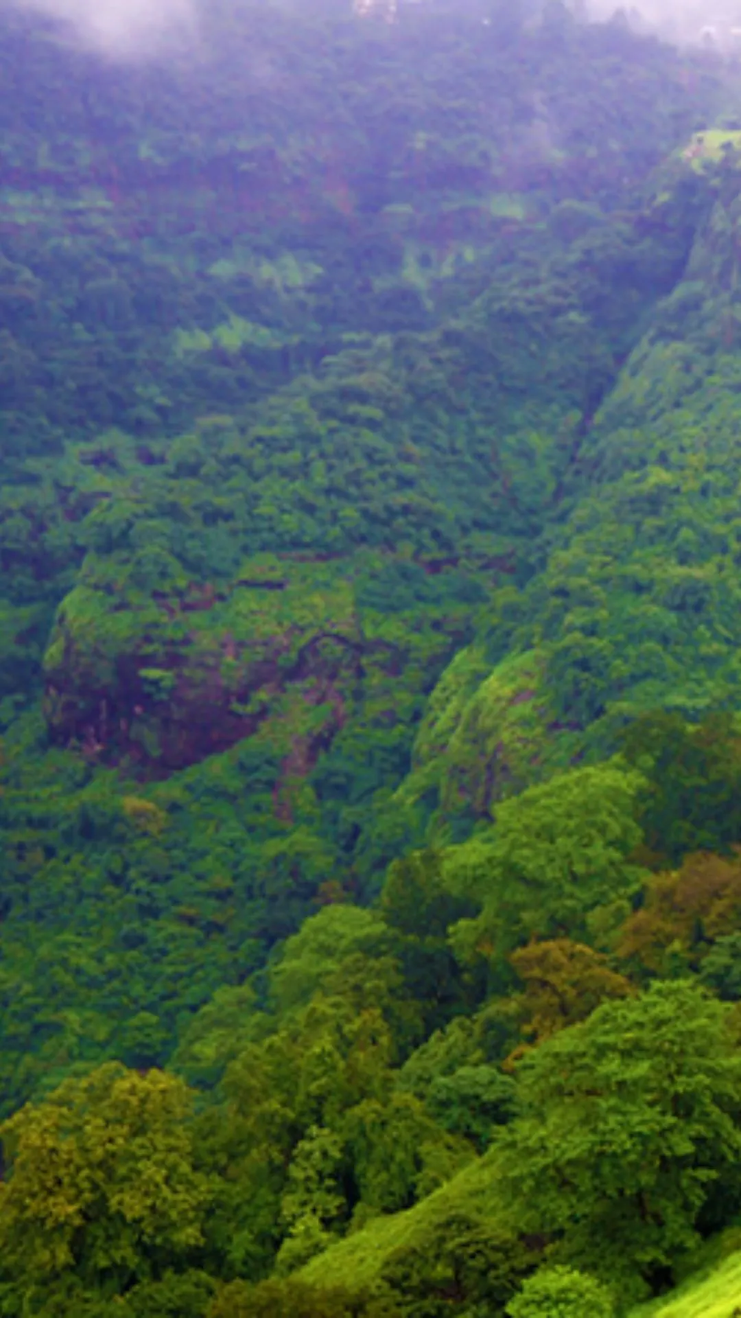 Rainy Season Escapes: Maharashtra's Must-See Destinations